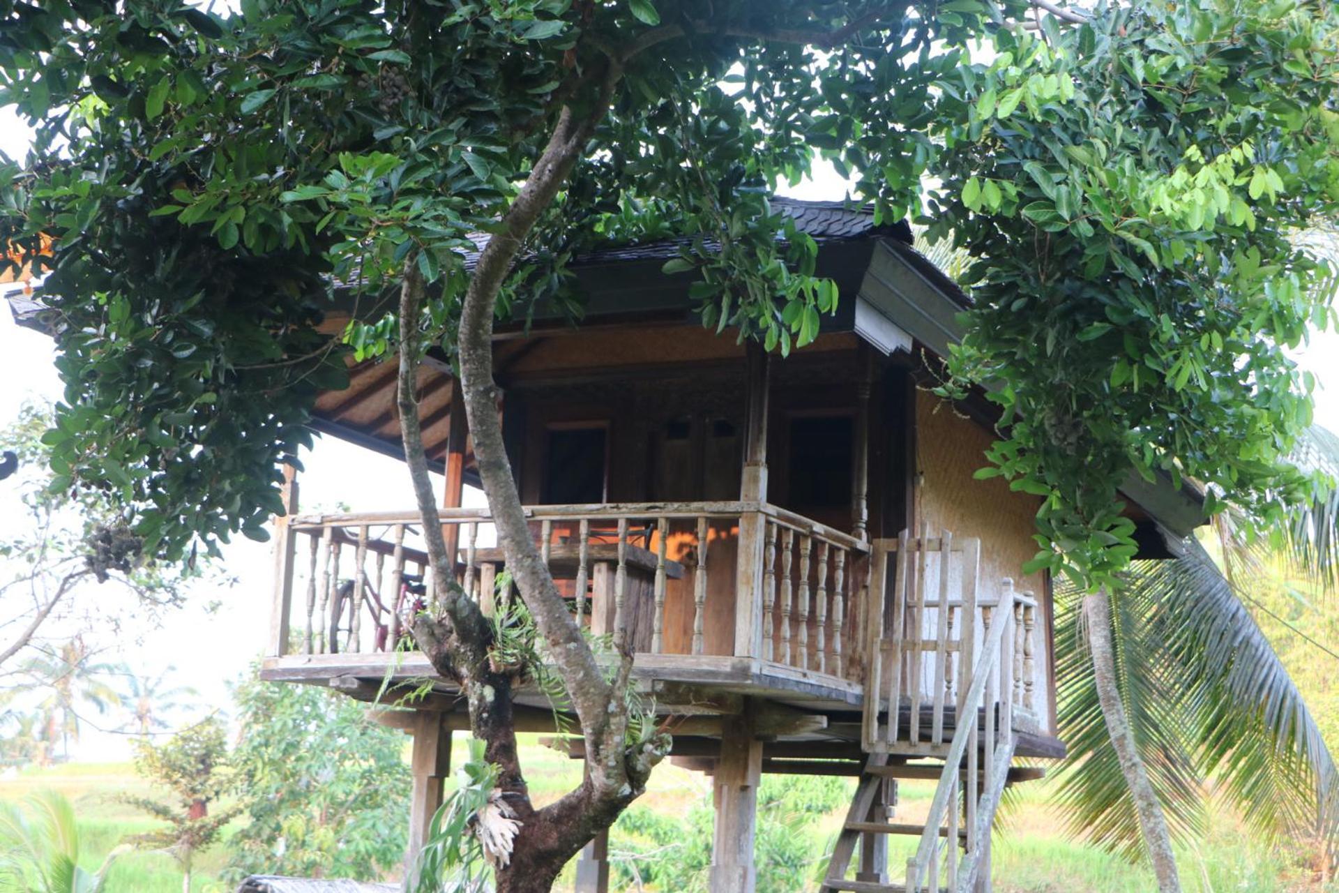 Mesari Cottage Guest House Buleleng  Exterior photo